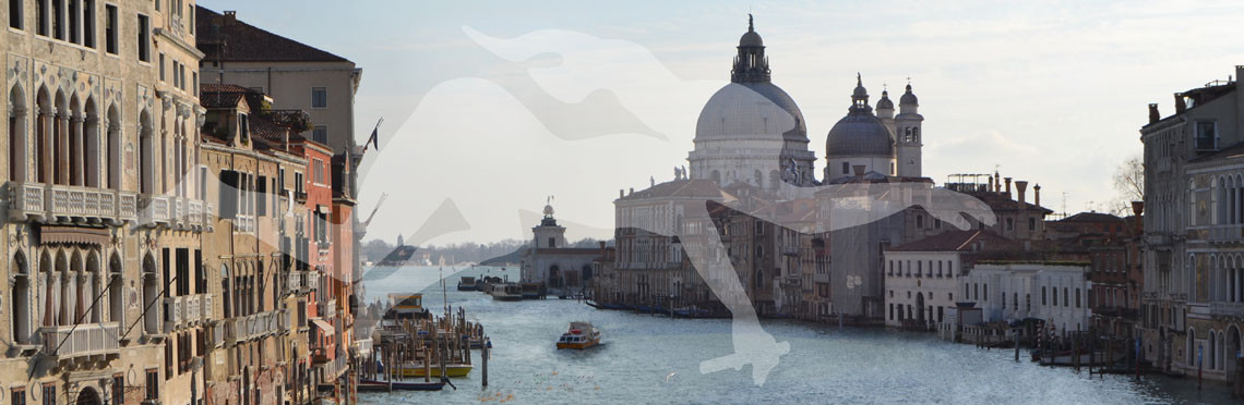 Charta von Venedig 2014 - Screen Model